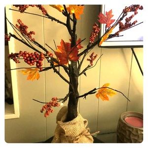 Fall decor